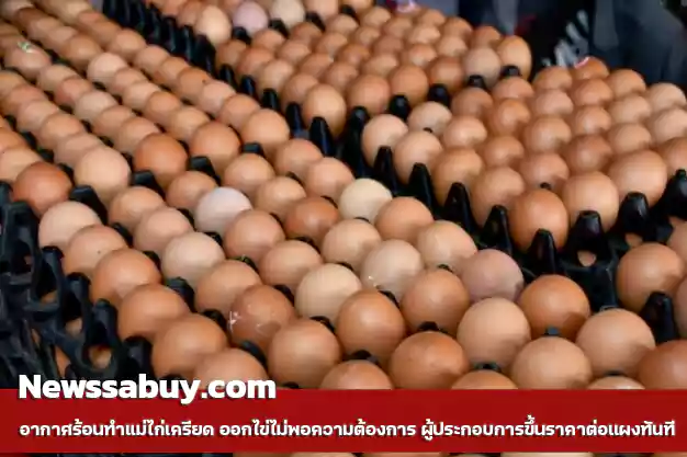 อากาศร้อนทำแม่ไก่เครียด ออกไข่ไม่พอความต้องการ ผู้ประกอบการขึ้นราคาต่อแผงทันที